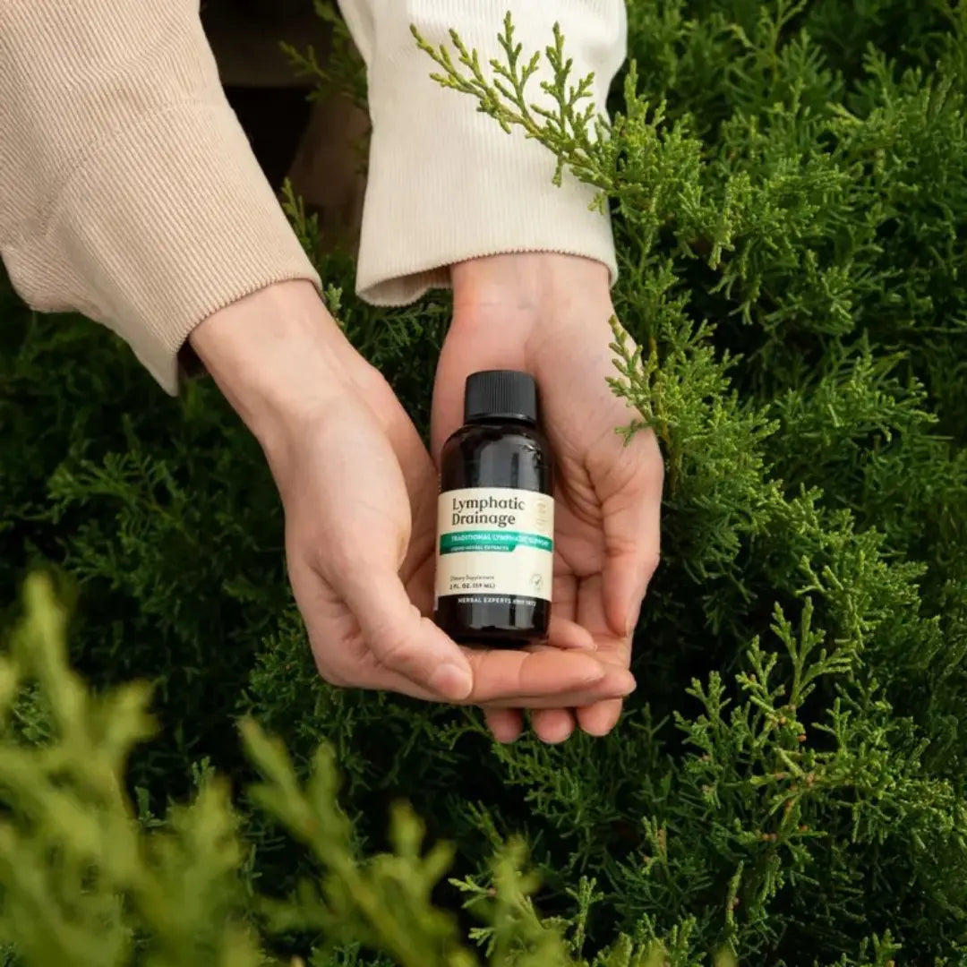 Lymphatic Drainage Supplement | Herbal Blend Luma Shop