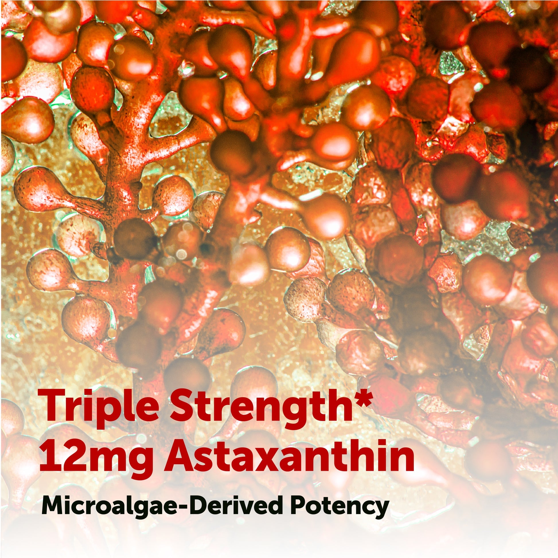 Astaxanthin 12mg softgels Luma Shop