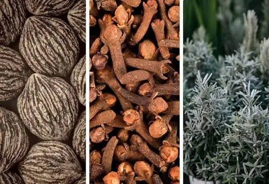 The gut blend